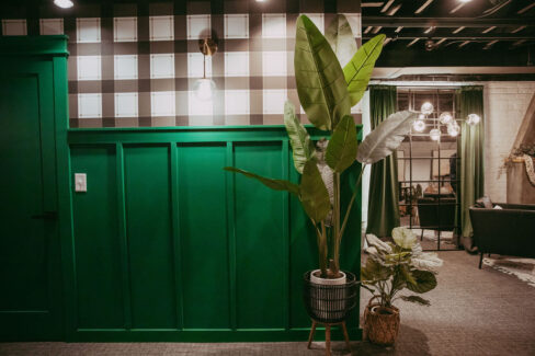 Plaid wallpaper, green walls, plants and mirrors at Nest:Space™ coworking, in the basement private desk room, designed by Shawna Meyer Design™, Interior Design and Project Management
